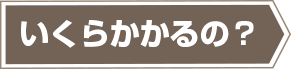 いくらかかるの？