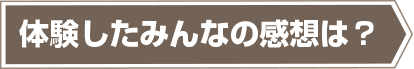 体験したみんなの感想は？